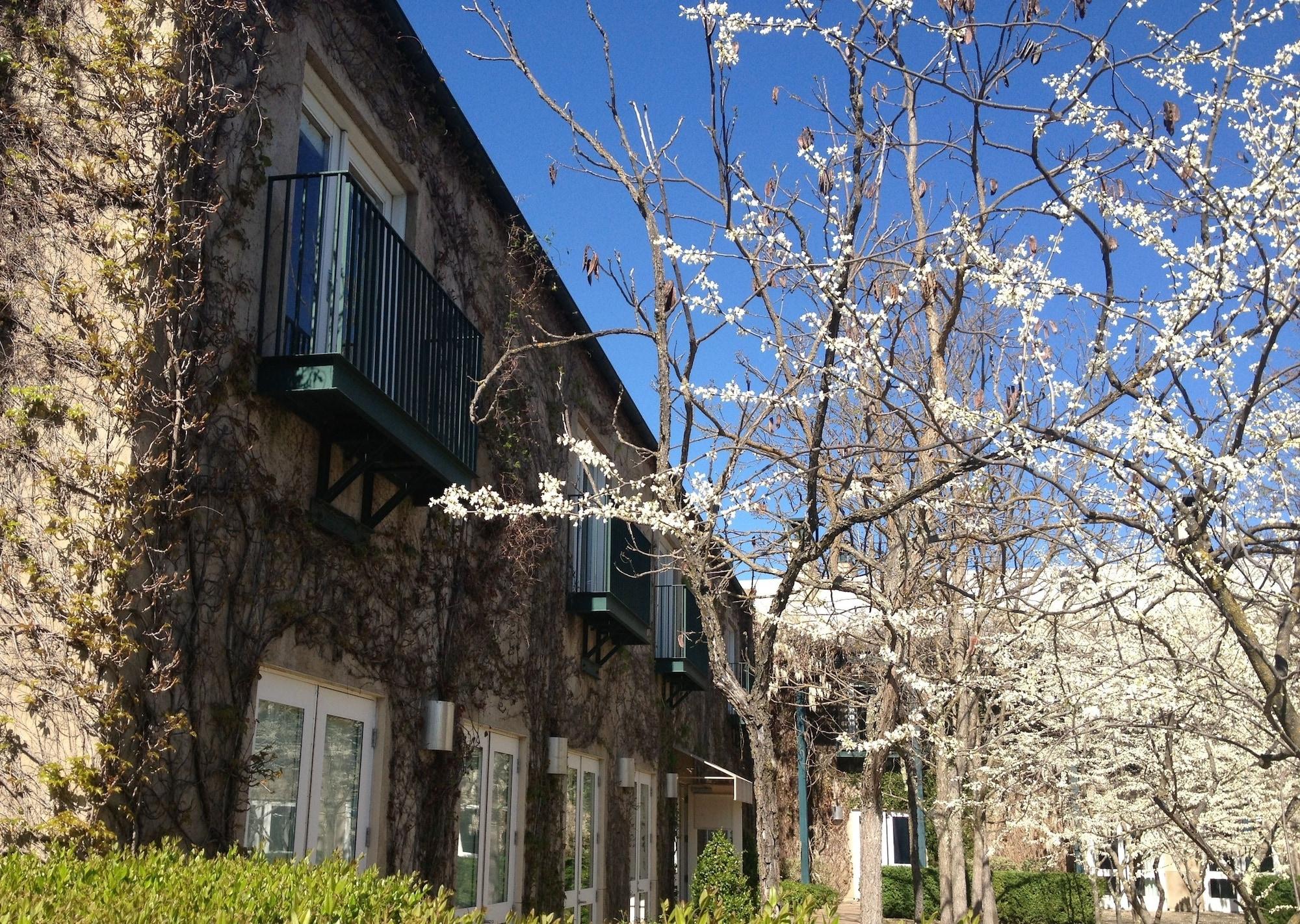Southbridge Napa Valley St. Helena Bagian luar foto